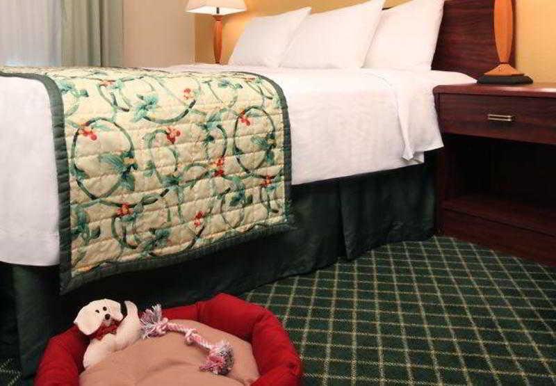 Fairfield Inn Erie Millcreek Mall Rum bild